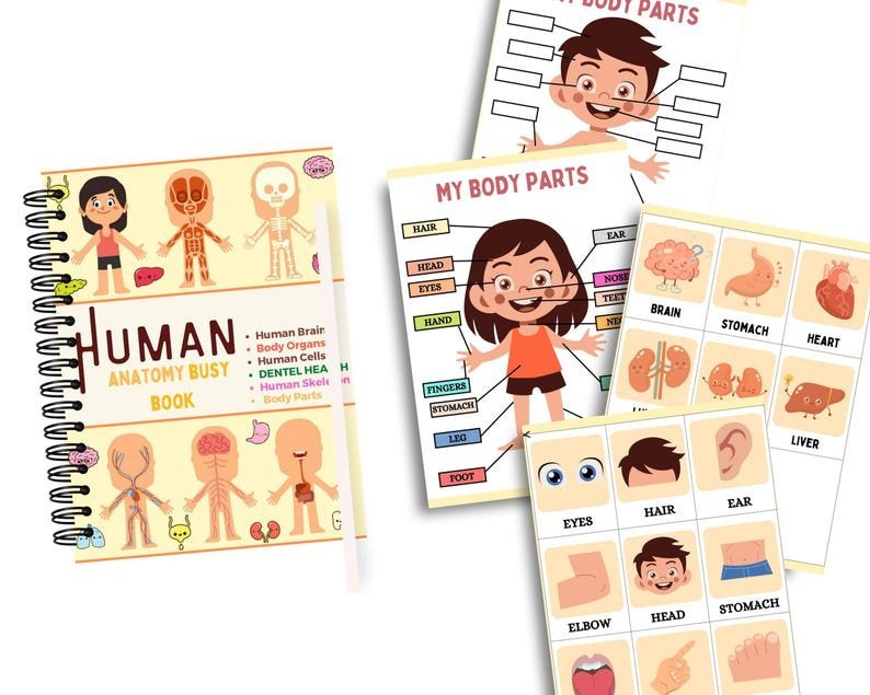 Toddler Busy Book Printable – Montessori Learning Binder for Preschool Activities, Kids Quiet Book & Homeschool Resources